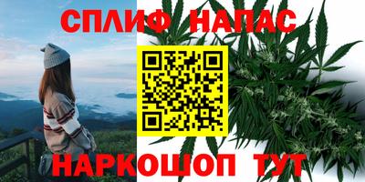 гидра Апшеронск