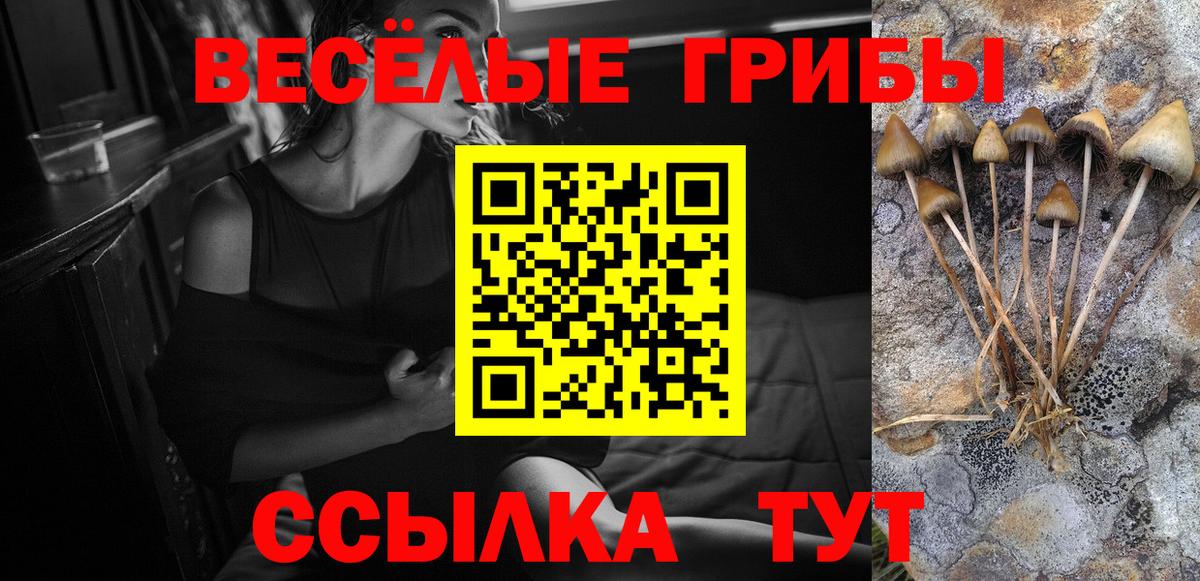 Псилоцибиновые грибы мицелий  Батайск  Галлюциногенные грибы ЛСД 