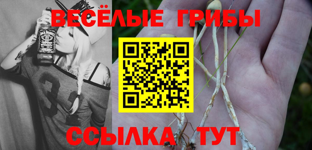 Псилоцибиновые грибы мухоморы Батайск